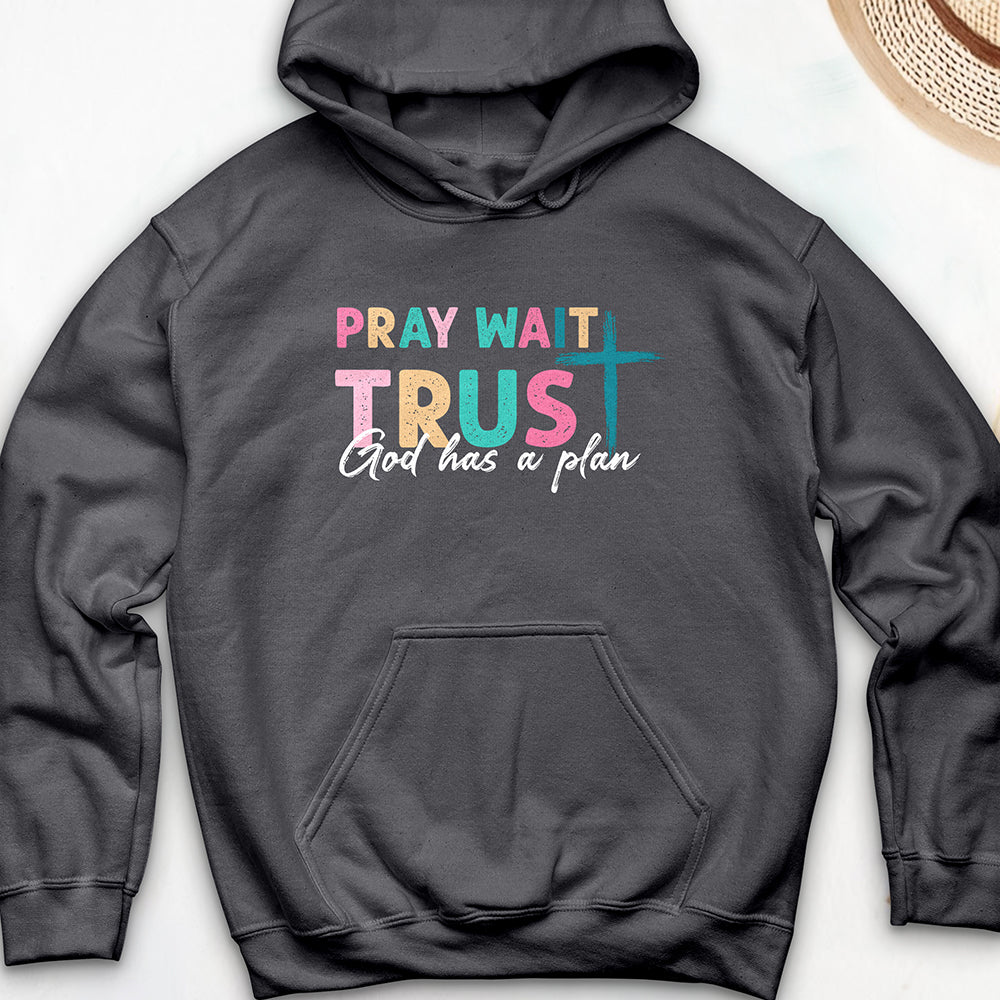 Plan of God Hoodie