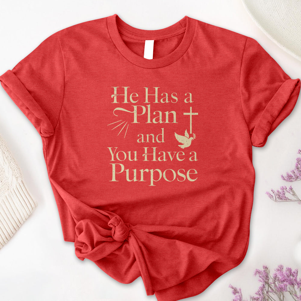 He Has a Plan & I Have a Purpose Tee