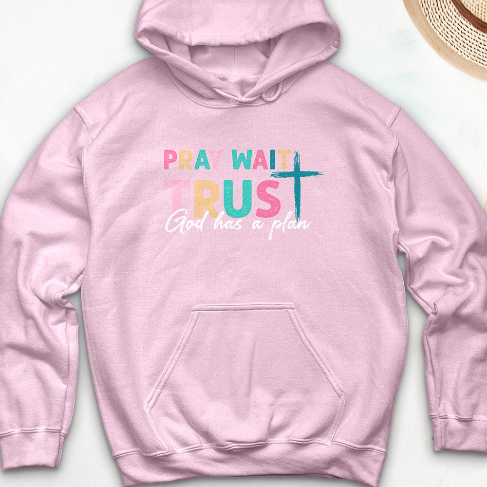 Plan of God Hoodie