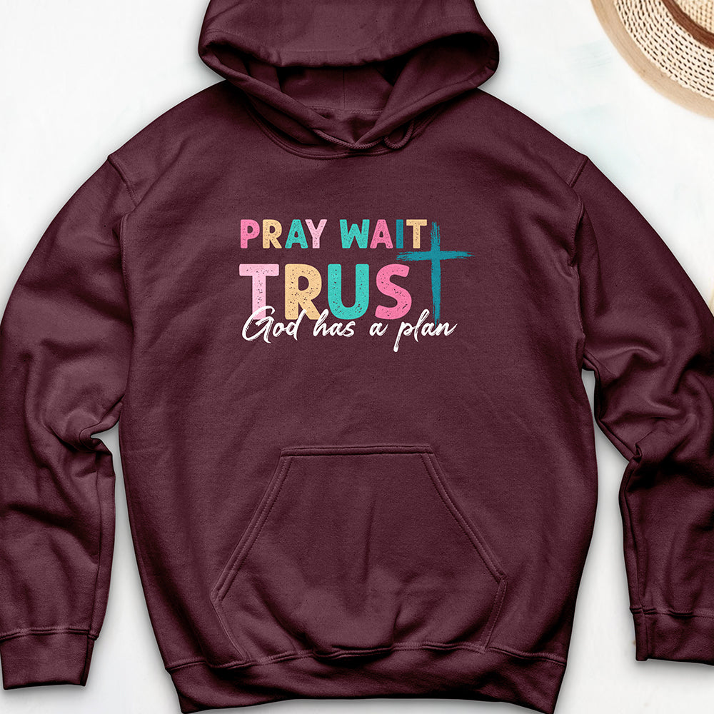 Plan of God Hoodie