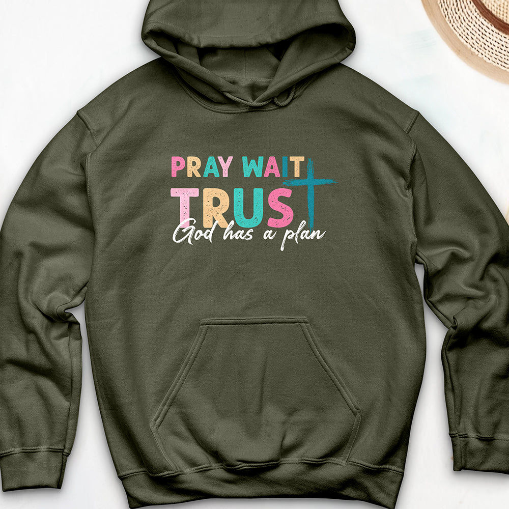 Plan of God Hoodie