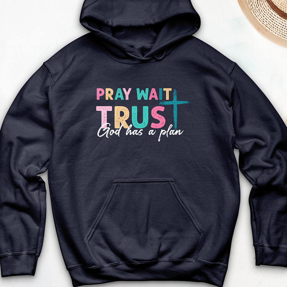 Plan of God Hoodie