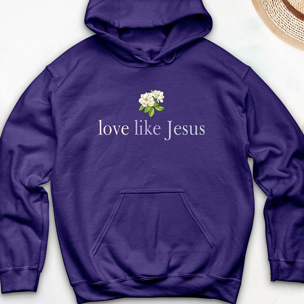 Love Like Jesus Hooded Sweatshirt