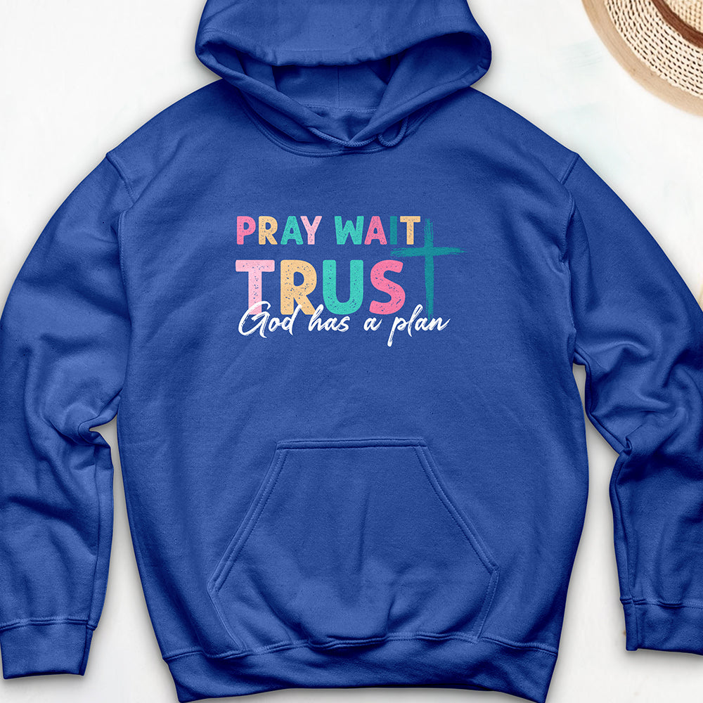 Plan of God Hoodie