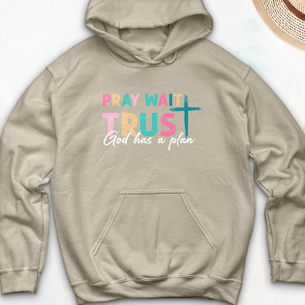 Plan of God Hoodie