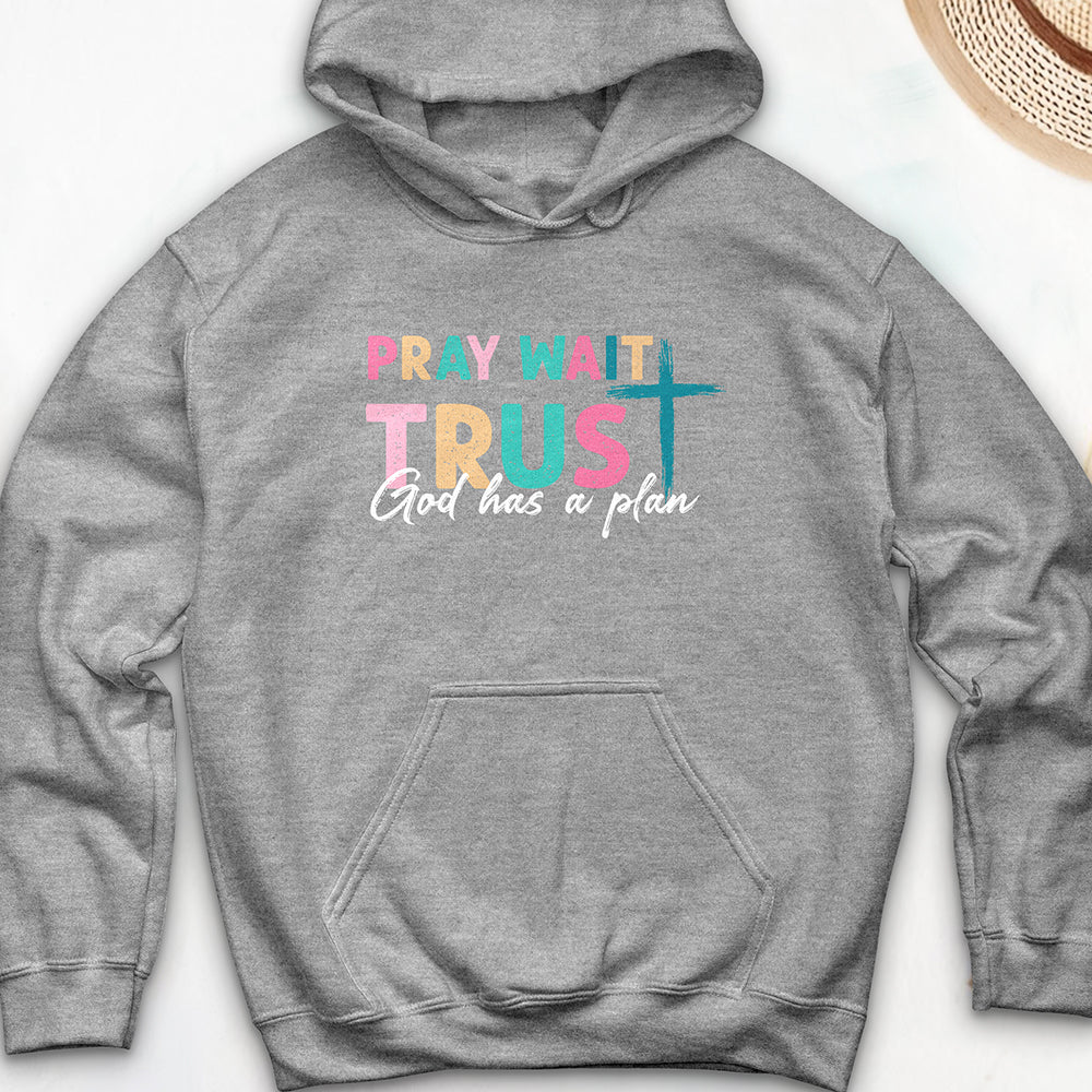 Plan of God Hoodie