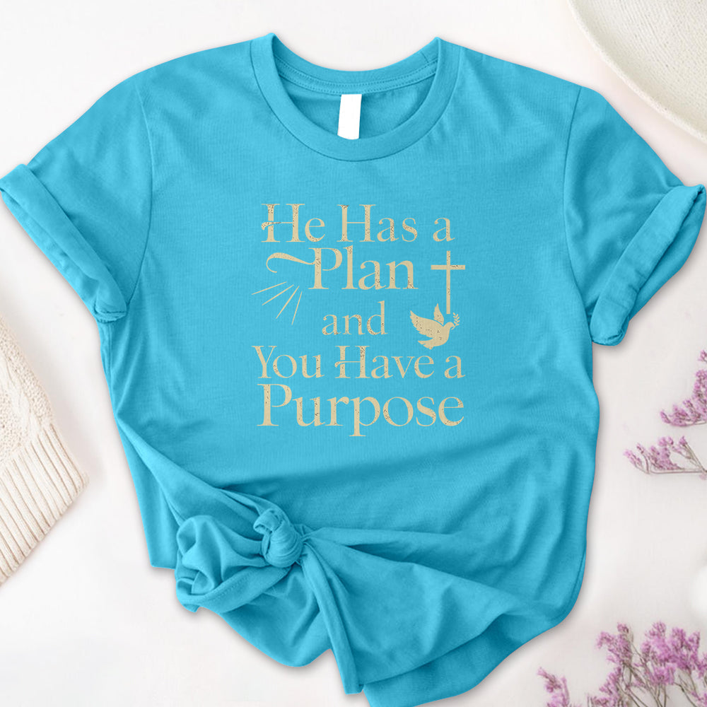 He Has a Plan & I Have a Purpose Tee