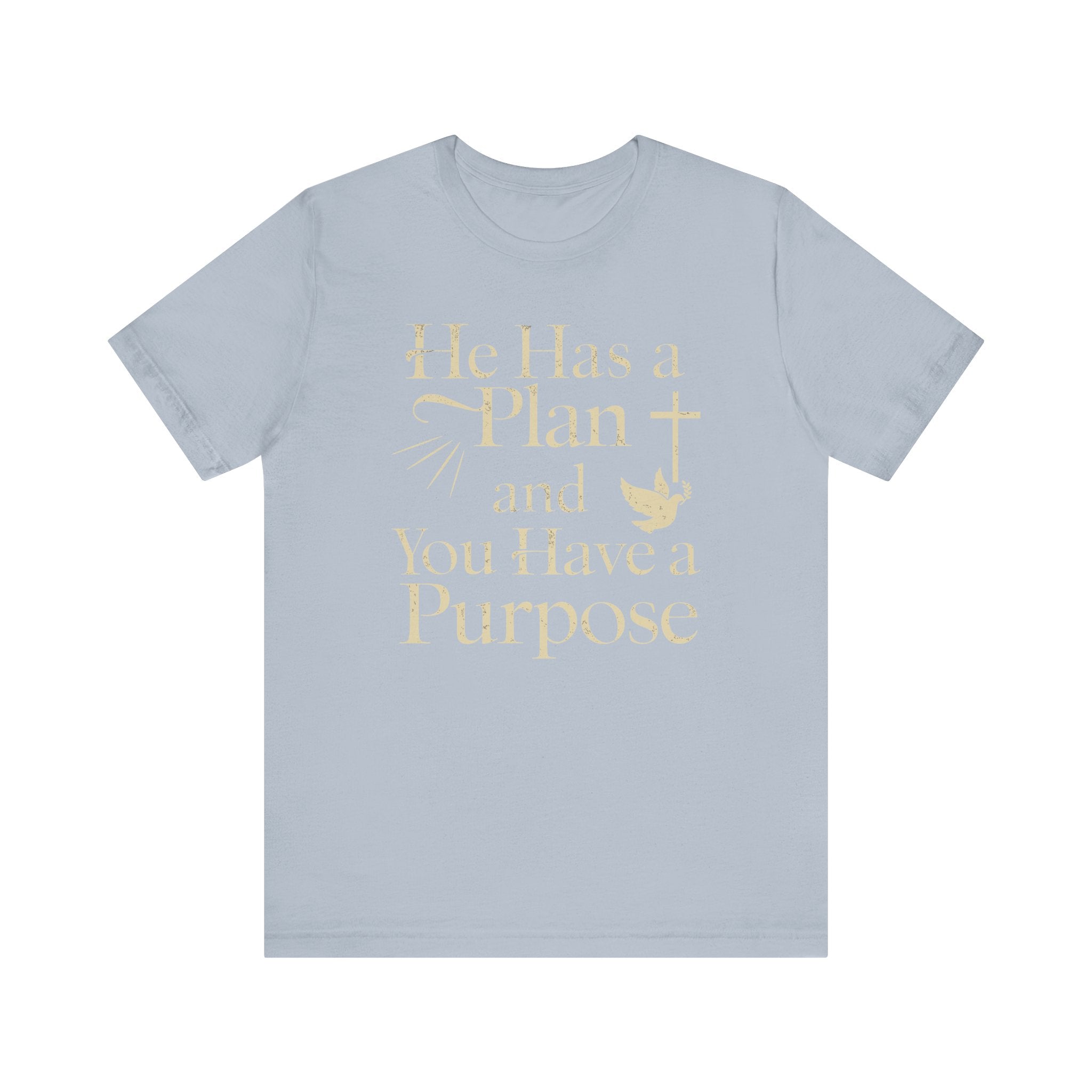 He Has a Plan & I Have a Purpose Tee