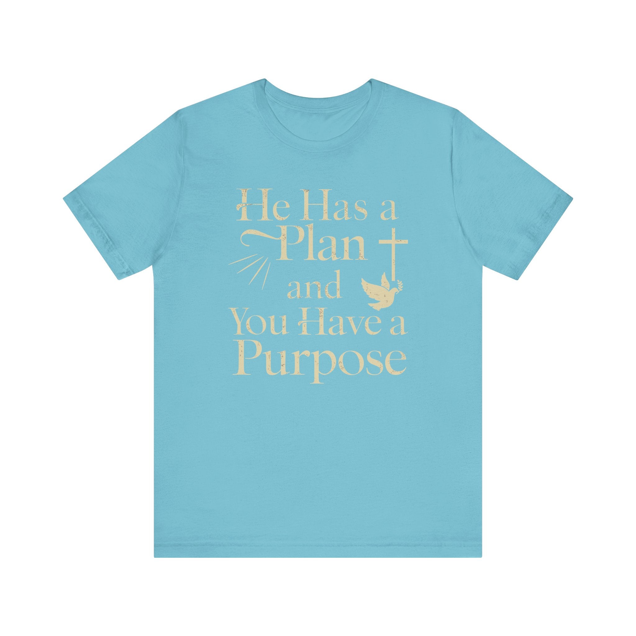 He Has a Plan & I Have a Purpose Tee