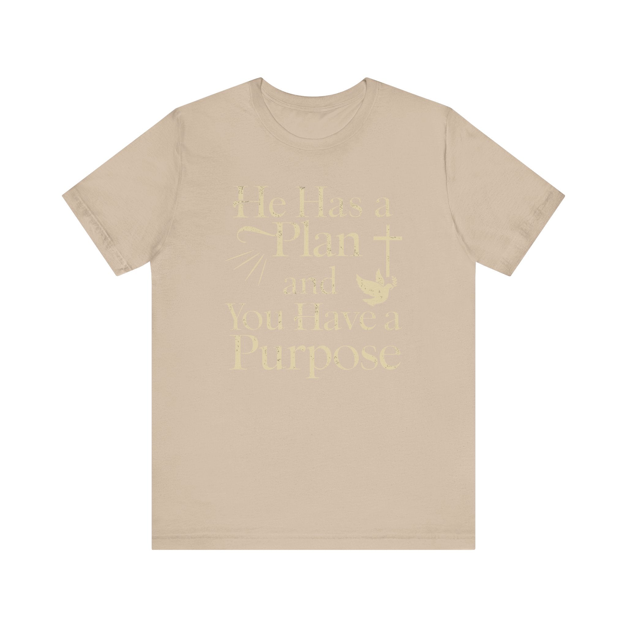 He Has a Plan & I Have a Purpose Tee