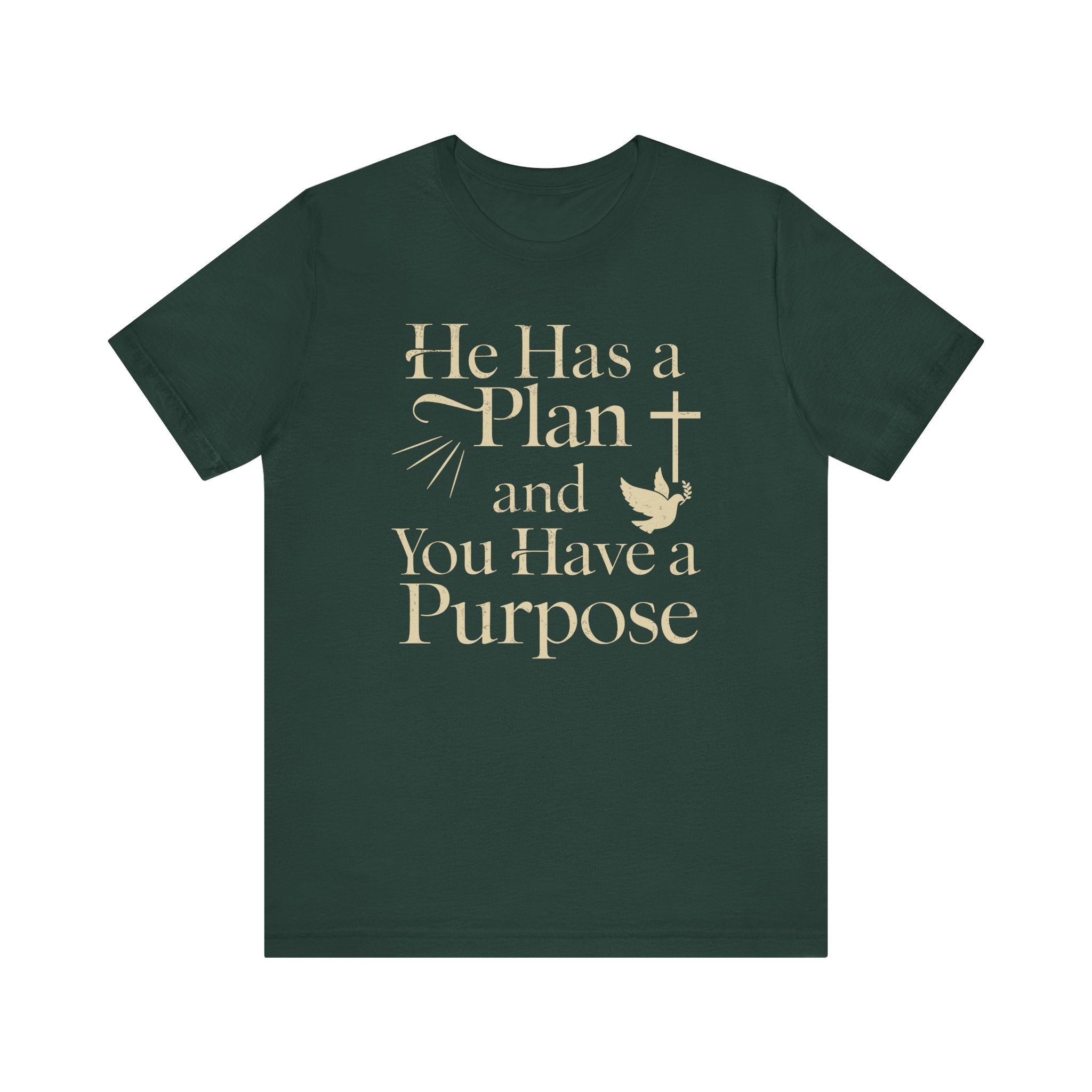 He Has a Plan & I Have a Purpose Tee