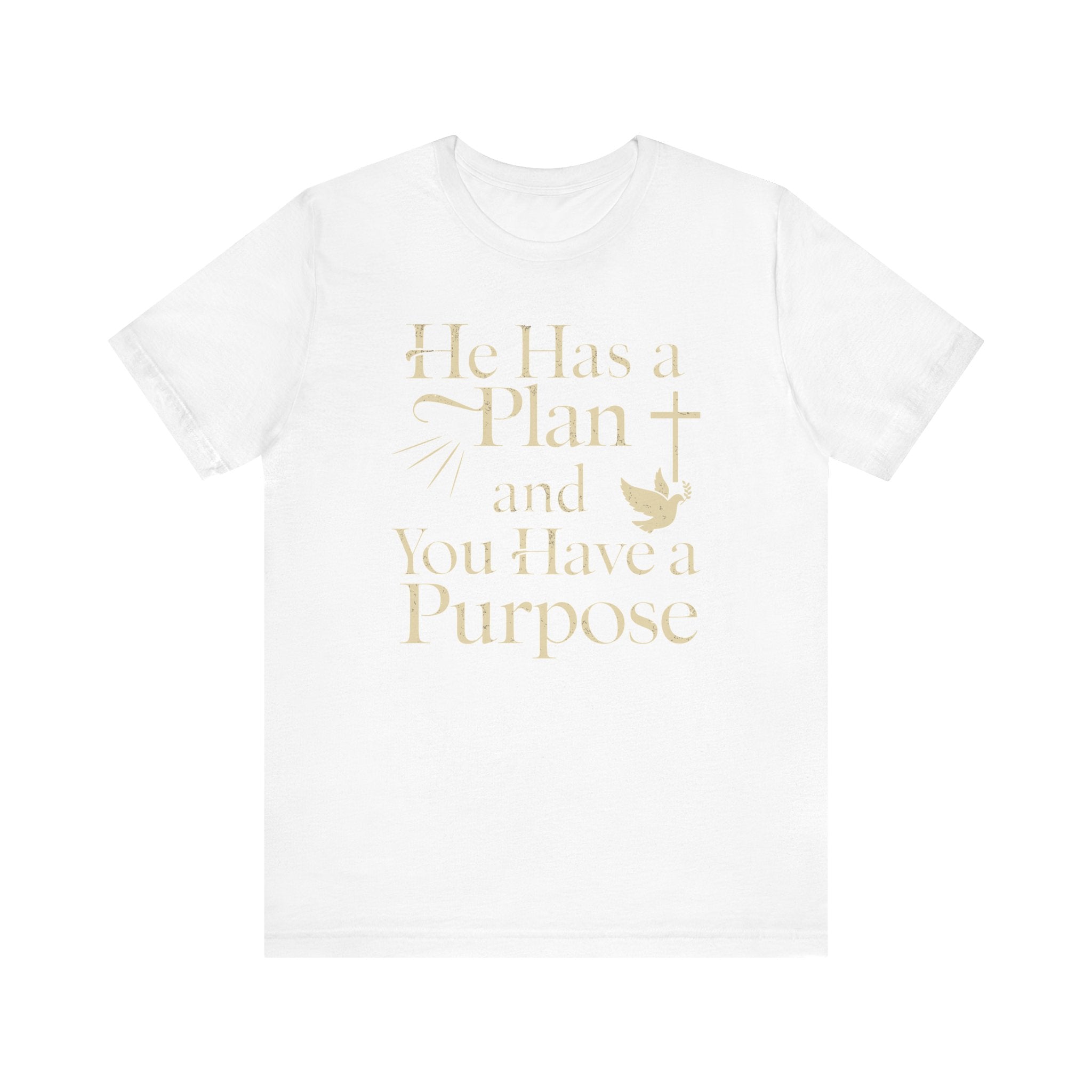 He Has a Plan & I Have a Purpose Tee