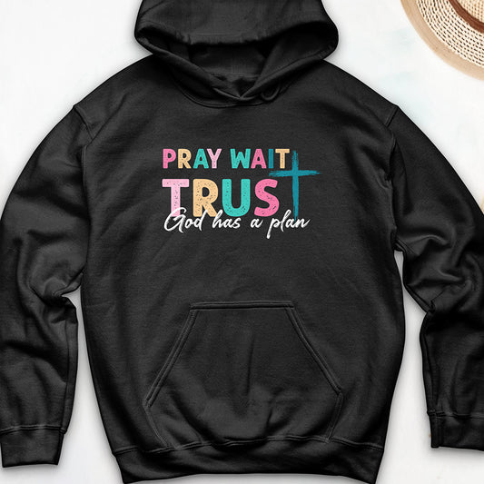 Plan of God Hoodie