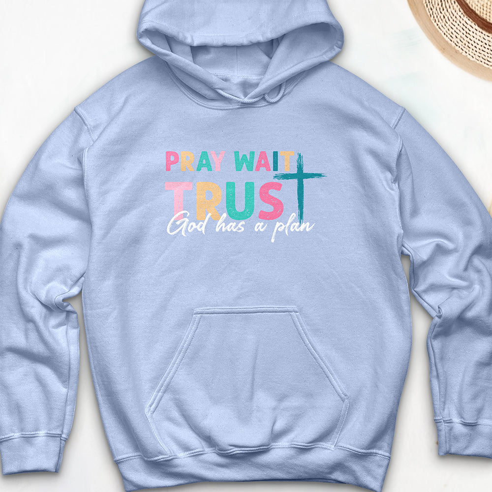 Plan of God Hoodie